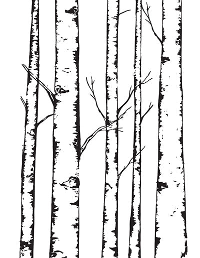 B&W Birch Trees Print by Deena Kruger (White Border)