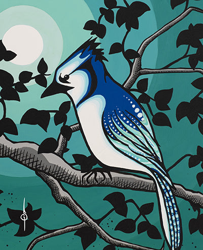 Blue Jay Solo Print by Steve Gerow
