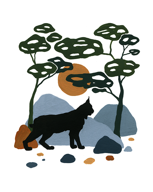 Bobcat Silhouette Print by Yvette St. Amant